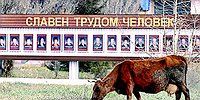 Максим Топилин: «Пенсии будут расти по инфляции»