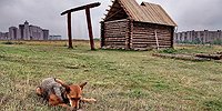 Ничейная экономика