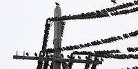 Есть все поводы для недовольтства