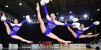 Помпоны высших достижений