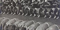 «Мы не чувствуем остро половые различия личин»