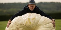 «Будущее за синтетическими продуктами»