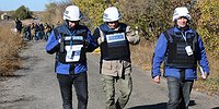 Донбасс не дает однозначного отвода