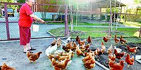 «У нас одно право – не заболеть»