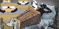 Властный тормоз «неотложных мер»