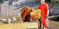 «Весь XXI век будет русский банкет»