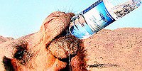 Вода «живая» и «мёртвая»