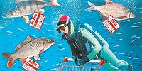 РЫБА ИЩЕТ, ГДЕ ЛУЧШЕ. А ЧЕЛОВЕК?.
