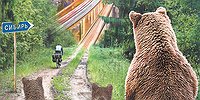 «За что нас гнобят Сибирь — я не понимаю»