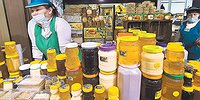 ЛИПА С АНТИБИОТИКАМИ
