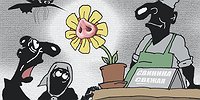 ЧЕШУЕКРЫЛЫЙ АНТРЕКОТ