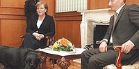 СПЕЦОПЕРАЦИЯ НА УКРАИНЕ: ФАКТОР МЕРКЕЛЬ