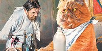 Импортозамещение коту под хвост