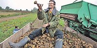 «Если иностранцы перестанут поставлять нам семена картофеля, никто не заметит!»