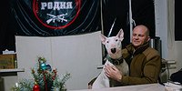 В этих окопах нет посторонних - тут все «Родня»