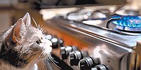 Вам с газом или без?