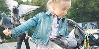 Голубиная почва