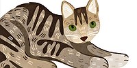 Три истории из жизни церковной кошки